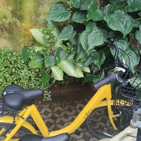 G Saskara Homestay Sanur Eksteriør billede
