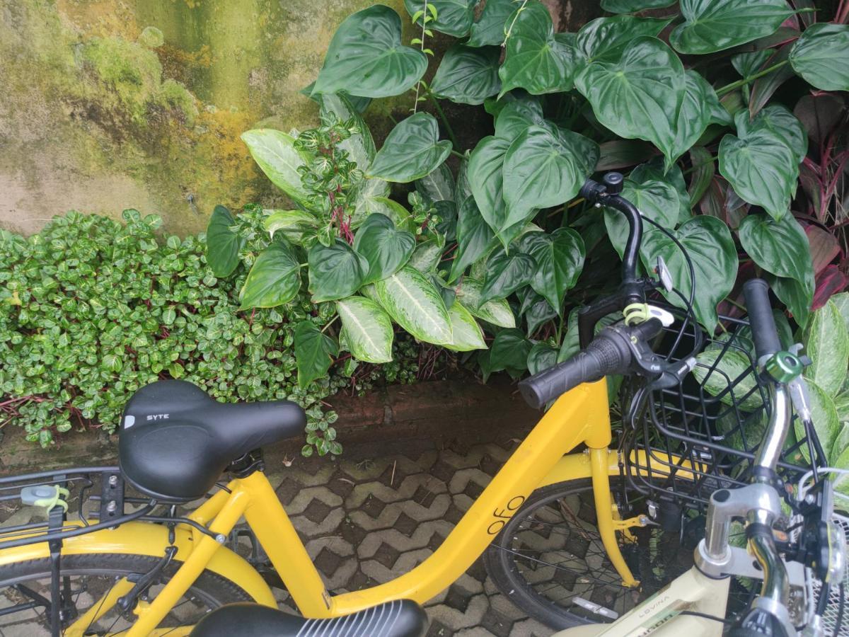 G Saskara Homestay Sanur Eksteriør billede